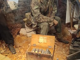 img_20250913_113248